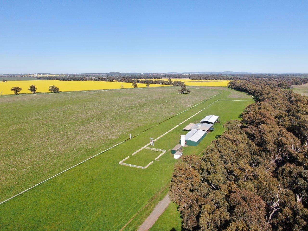 'Warri', 6611 Newell Highway, Ardlethan - Image 1