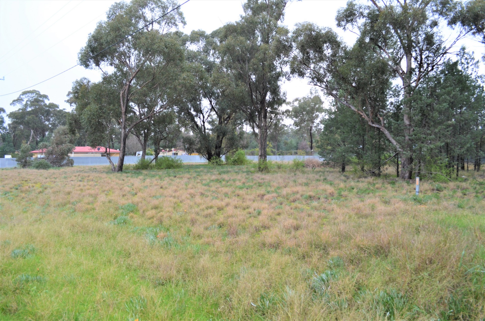 5 Grant Street, Ganmain - Thumbnail 4