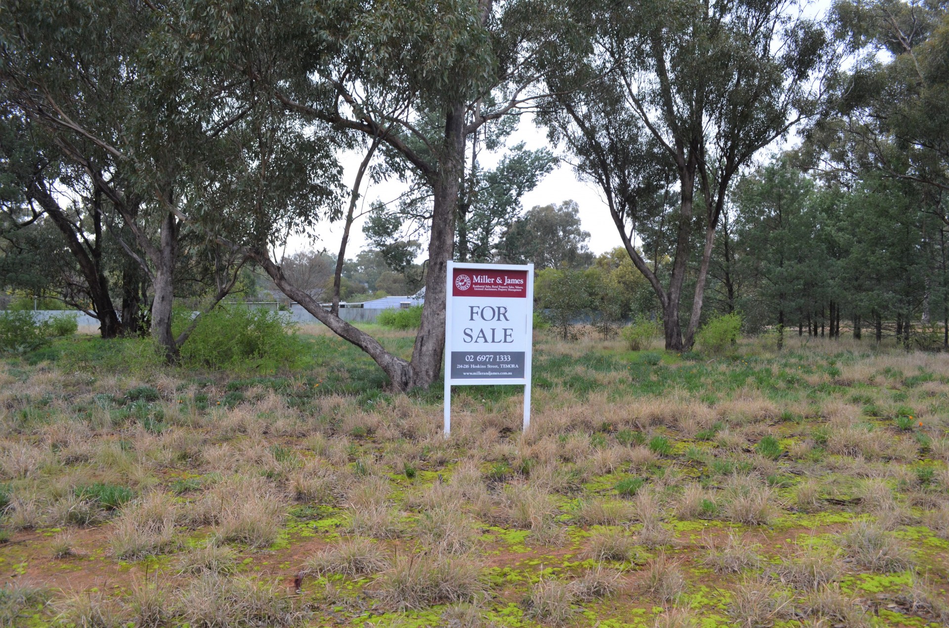 5 Grant Street, Ganmain - Thumbnail 5