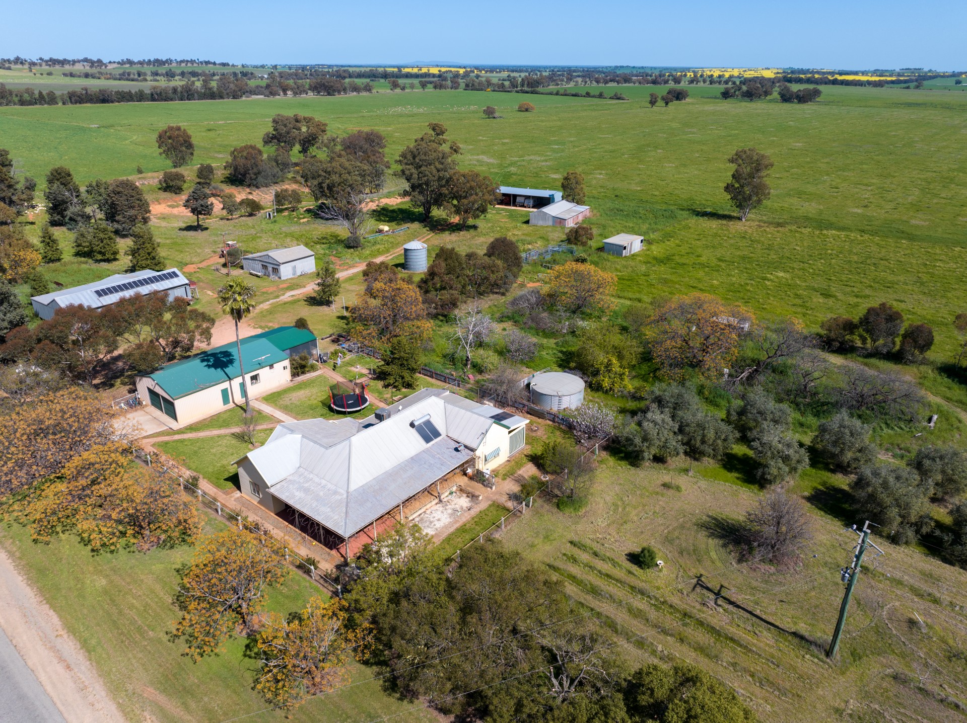 Coolamon, NSW, Coolamon - Image 1