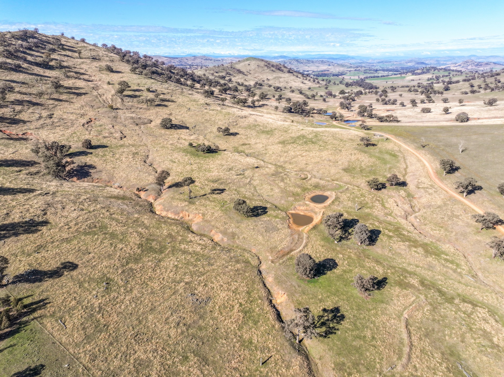 444 Hoares Lane, Muttama - Thumbnail 8