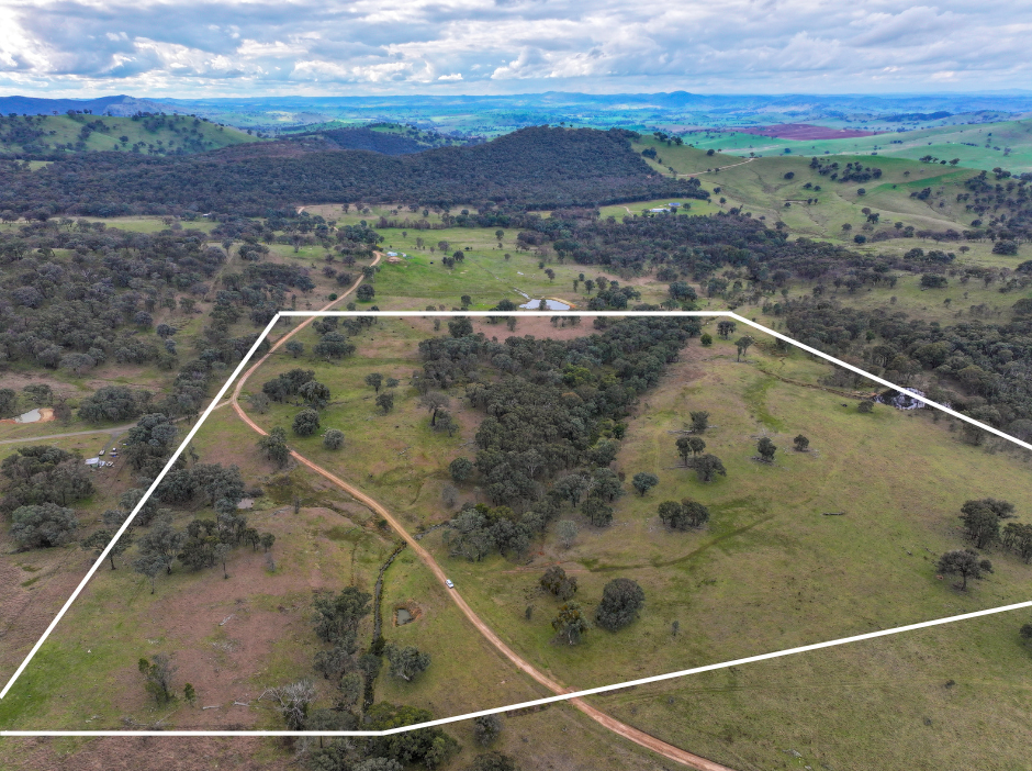 299 Burra Road, Reno - Image 1