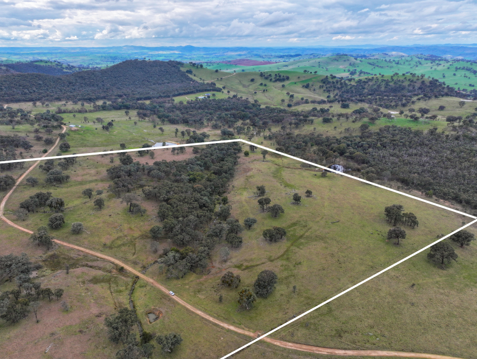 299 Burra Road, Reno - Thumbnail 2