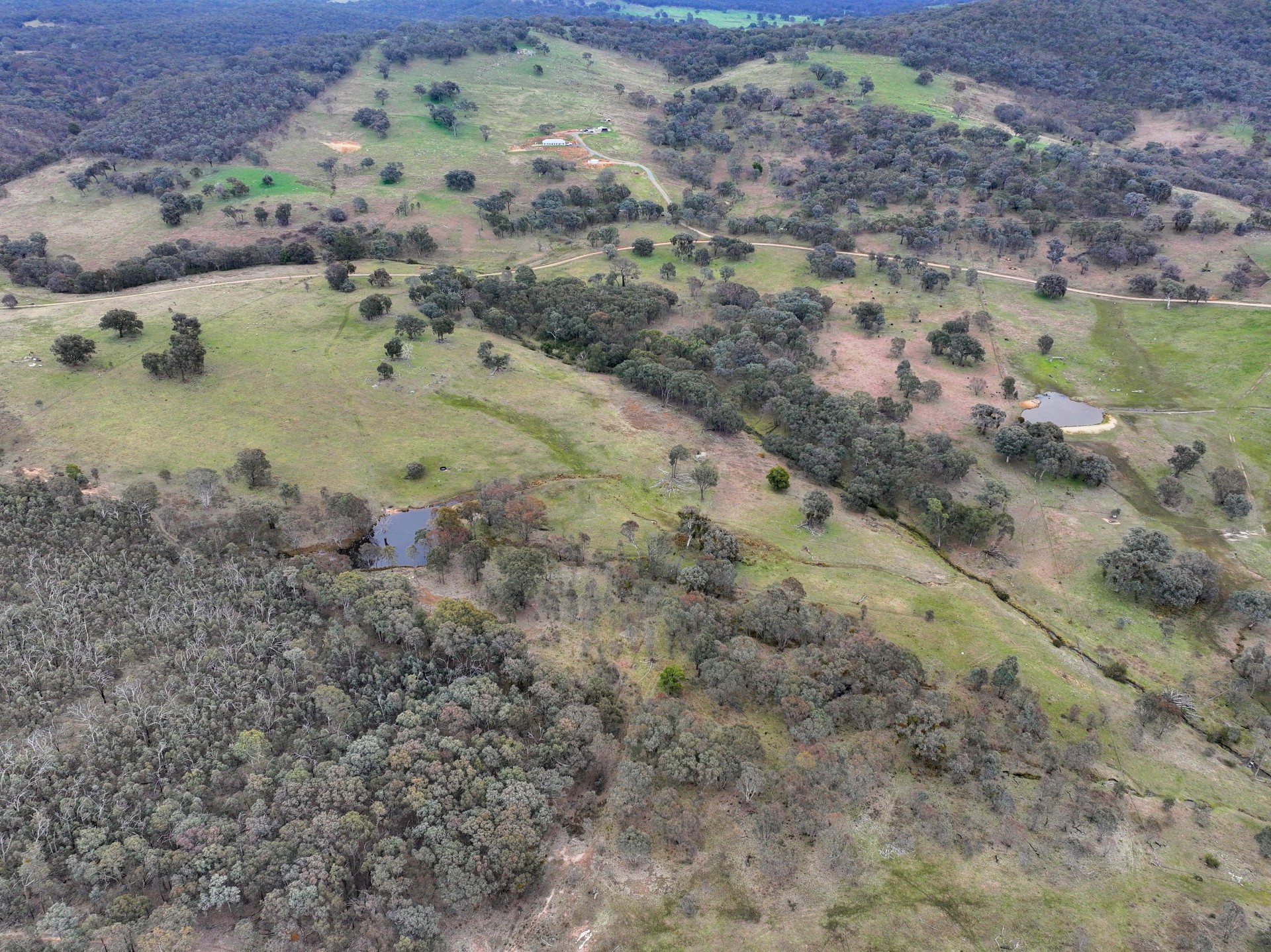 299 Burra Road, Reno - Thumbnail 5