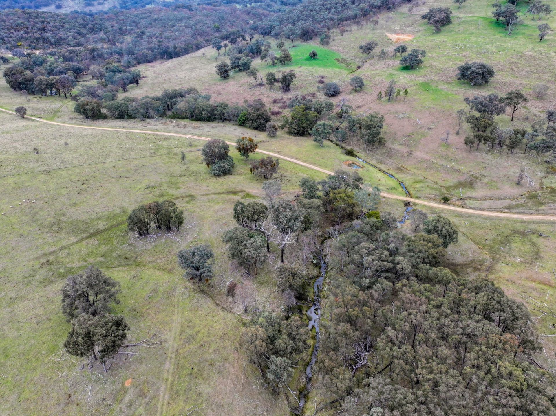 299 Burra Road, Reno - Thumbnail 6