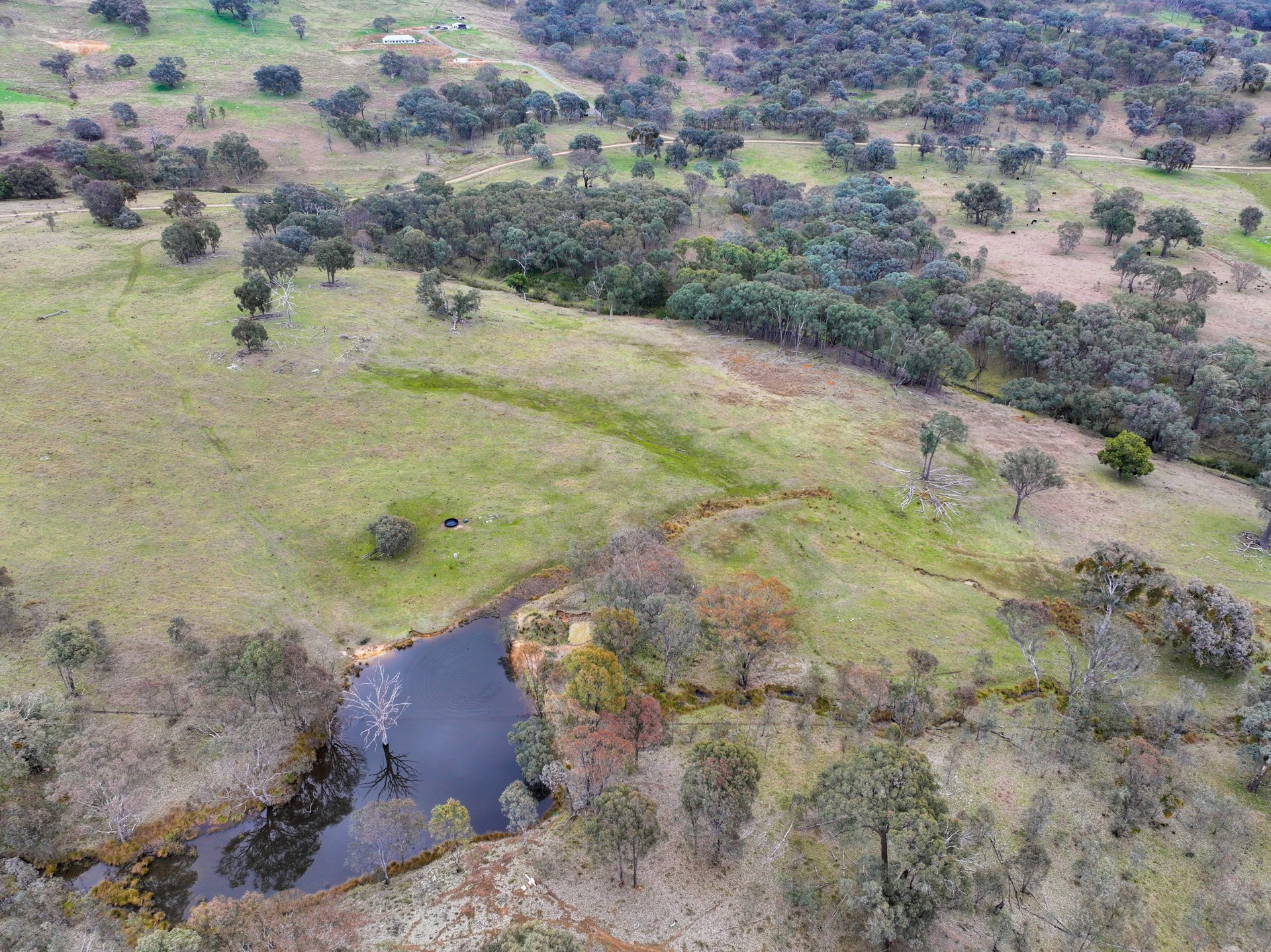 299 Burra Road, Reno - Thumbnail 8