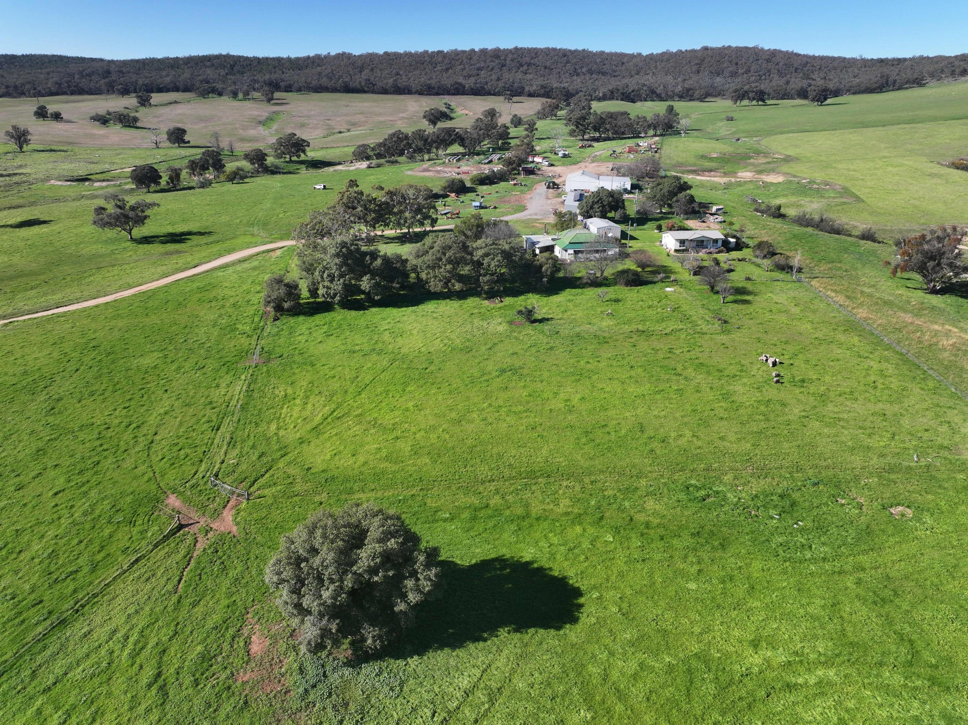 'Yeronga' Piersons Road, Mangoplah - Image 1