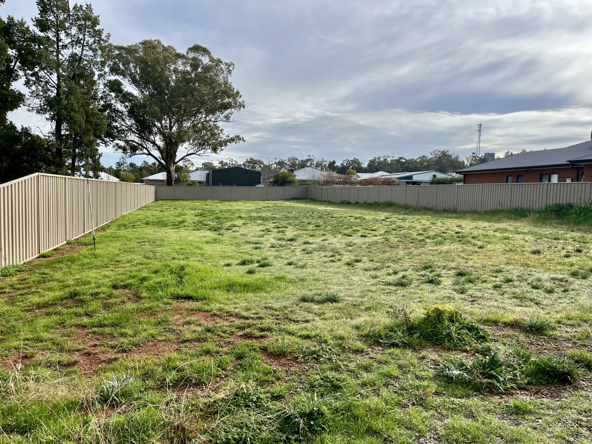12 Dunrobin Street, Coolamon - Thumbnail 4