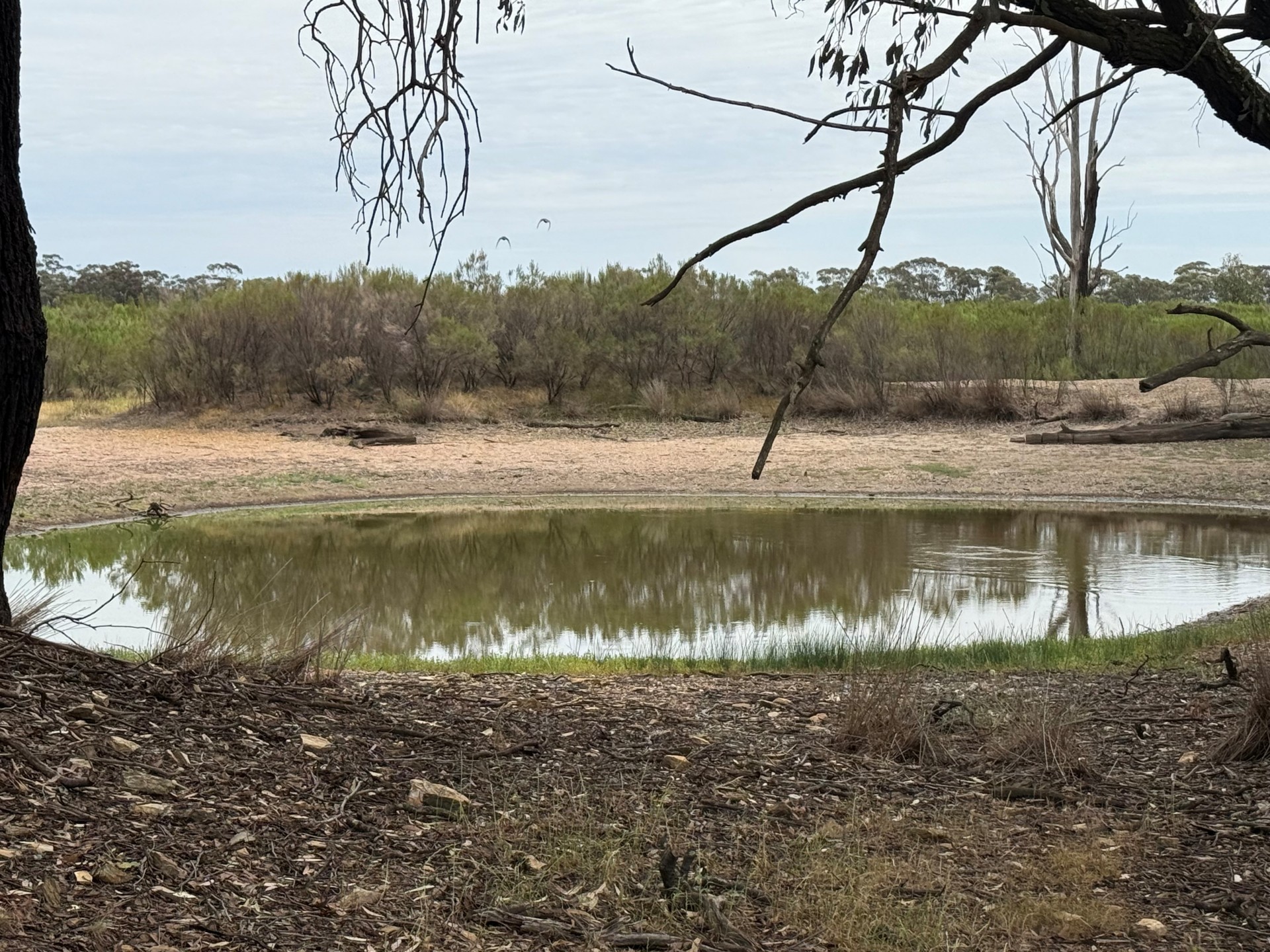 'The Backwoods' 1054 Burley Griffin Way, Temora - Thumbnail 5