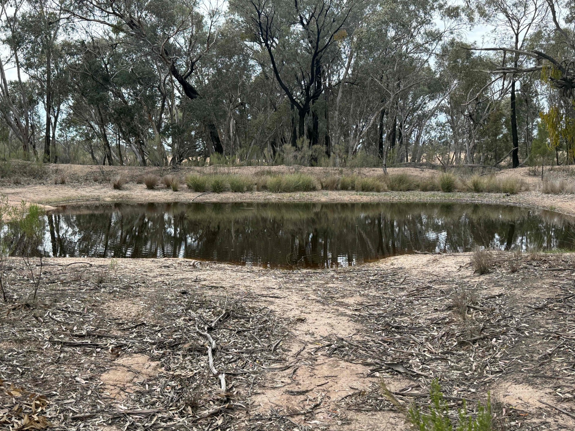 'The Backwoods' 1054 Burley Griffin Way, Temora - Thumbnail 6