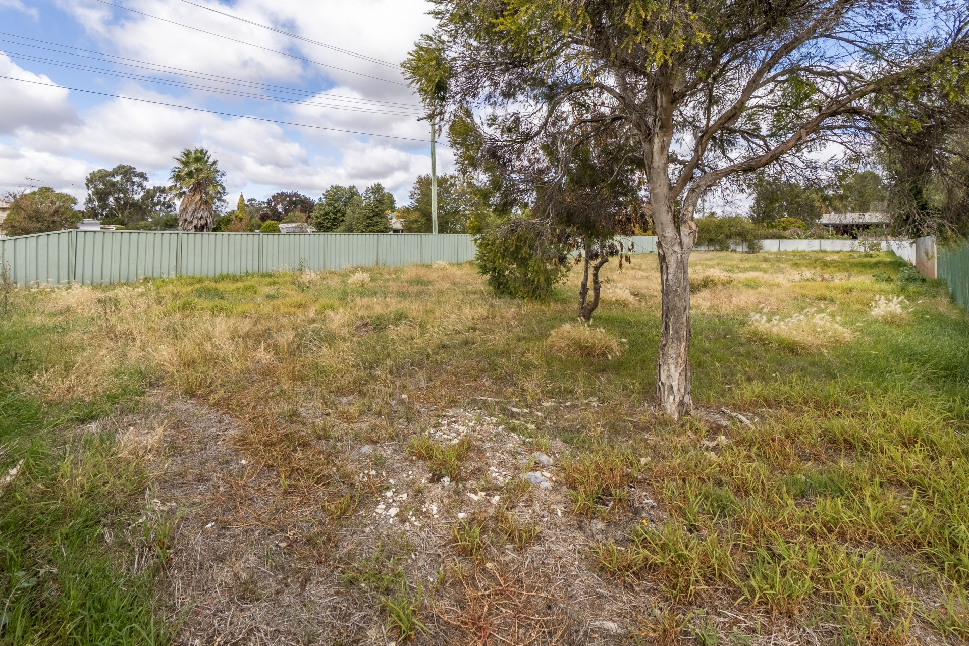 1 Murphy Street, Temora - Thumbnail 8