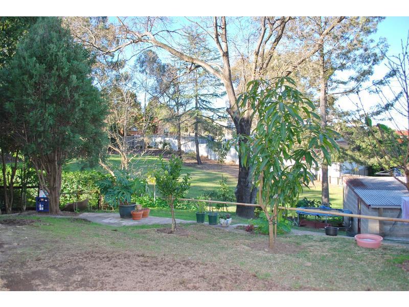 Real Estate in Telopea