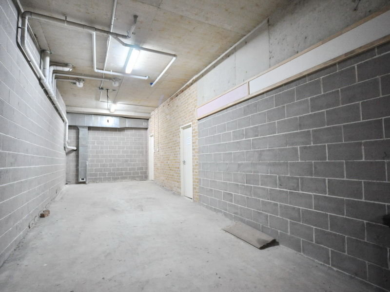 Real Estate in Telopea