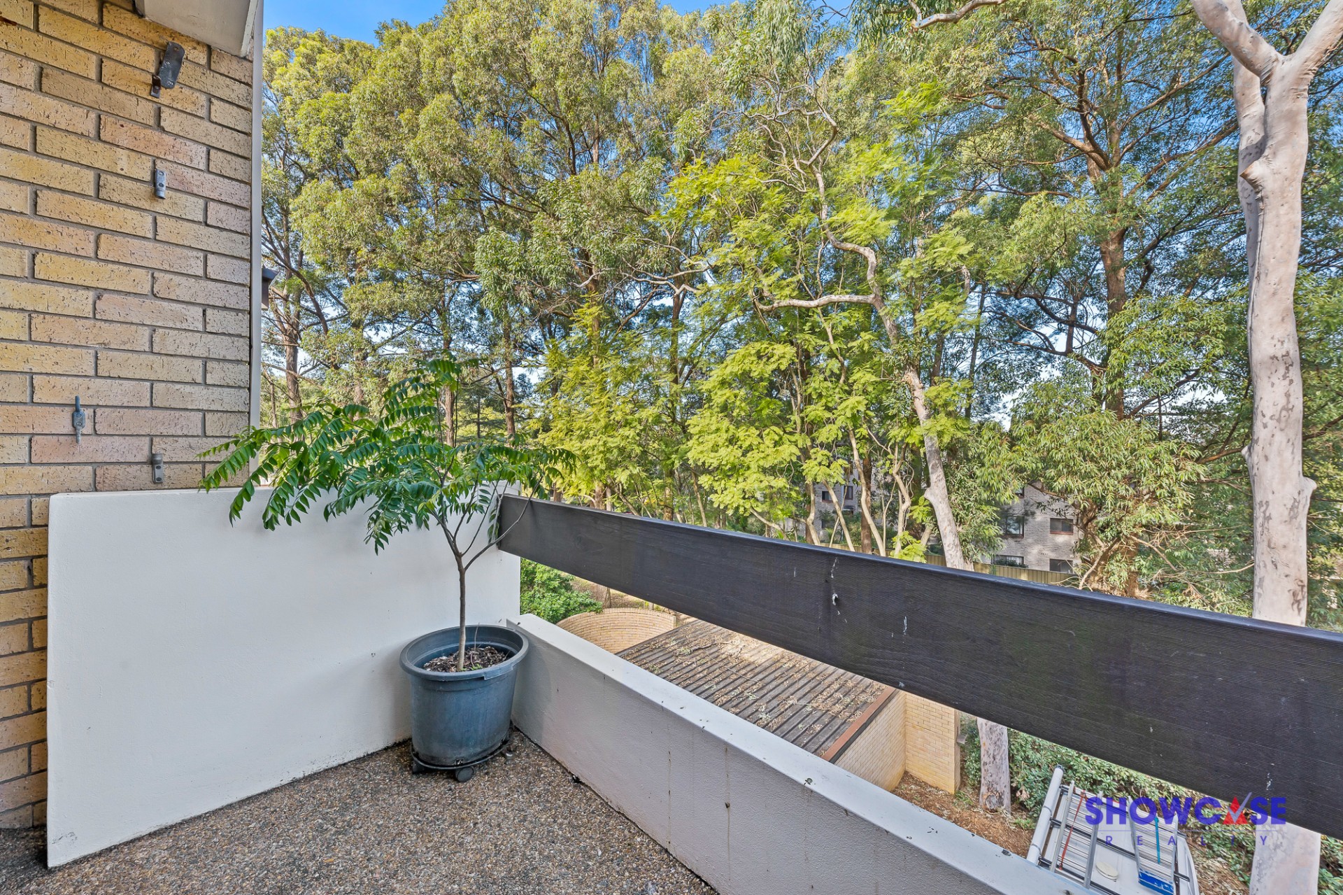 Selling your property in Telopea