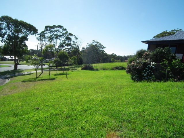 Image 4