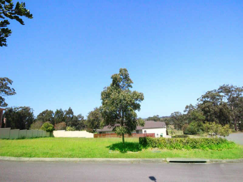 Image 2