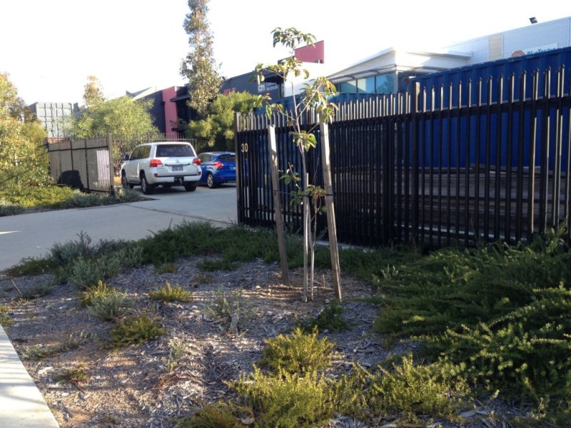 Bibra Lake Properties Sold