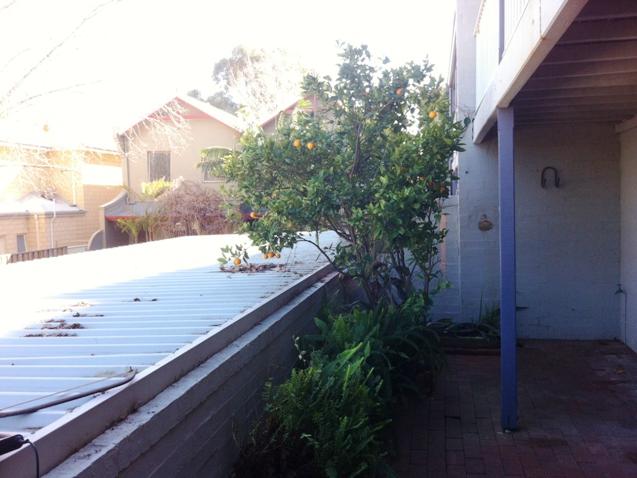 Real Estate in Fremantle