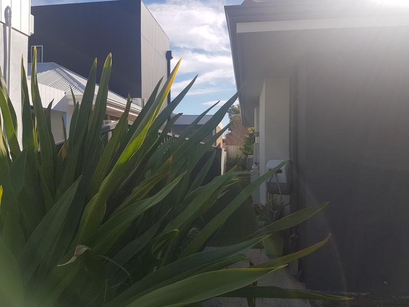 Real Estate in Alfred Cove
