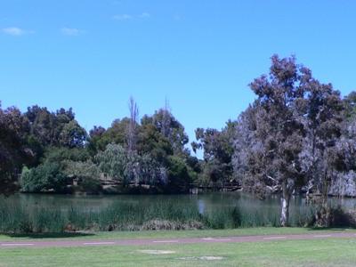 Real Estate in Perth