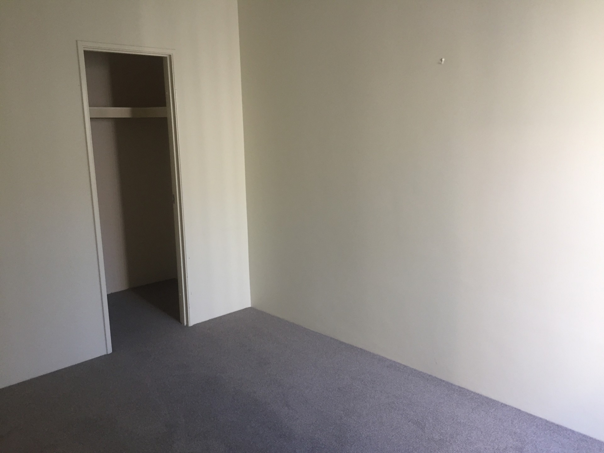 Real Estate in Ardross