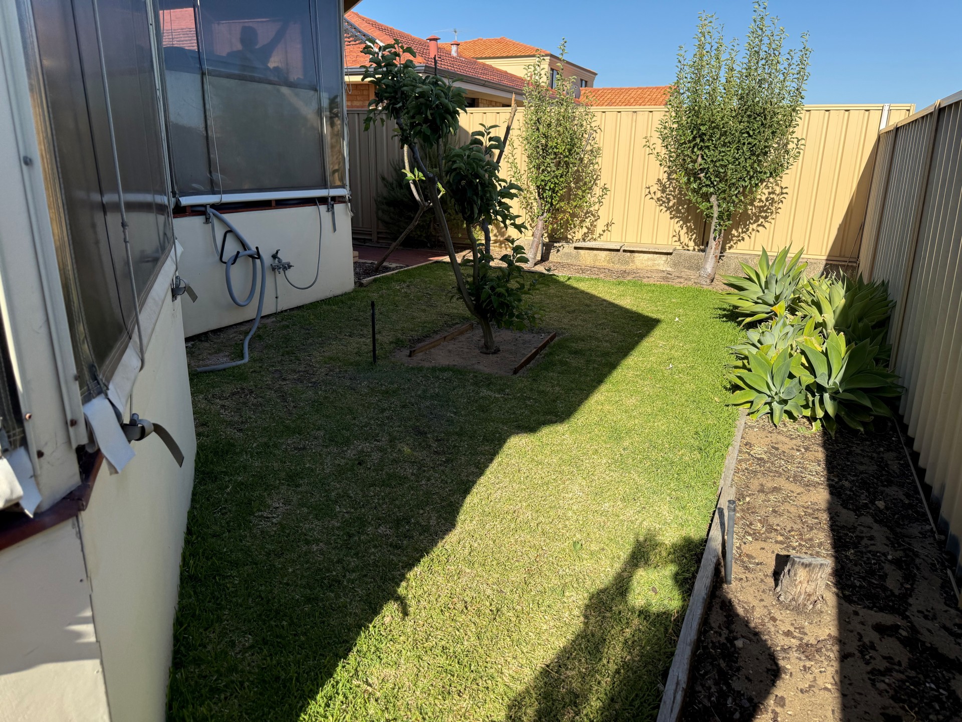 Real Estate in Coogee
