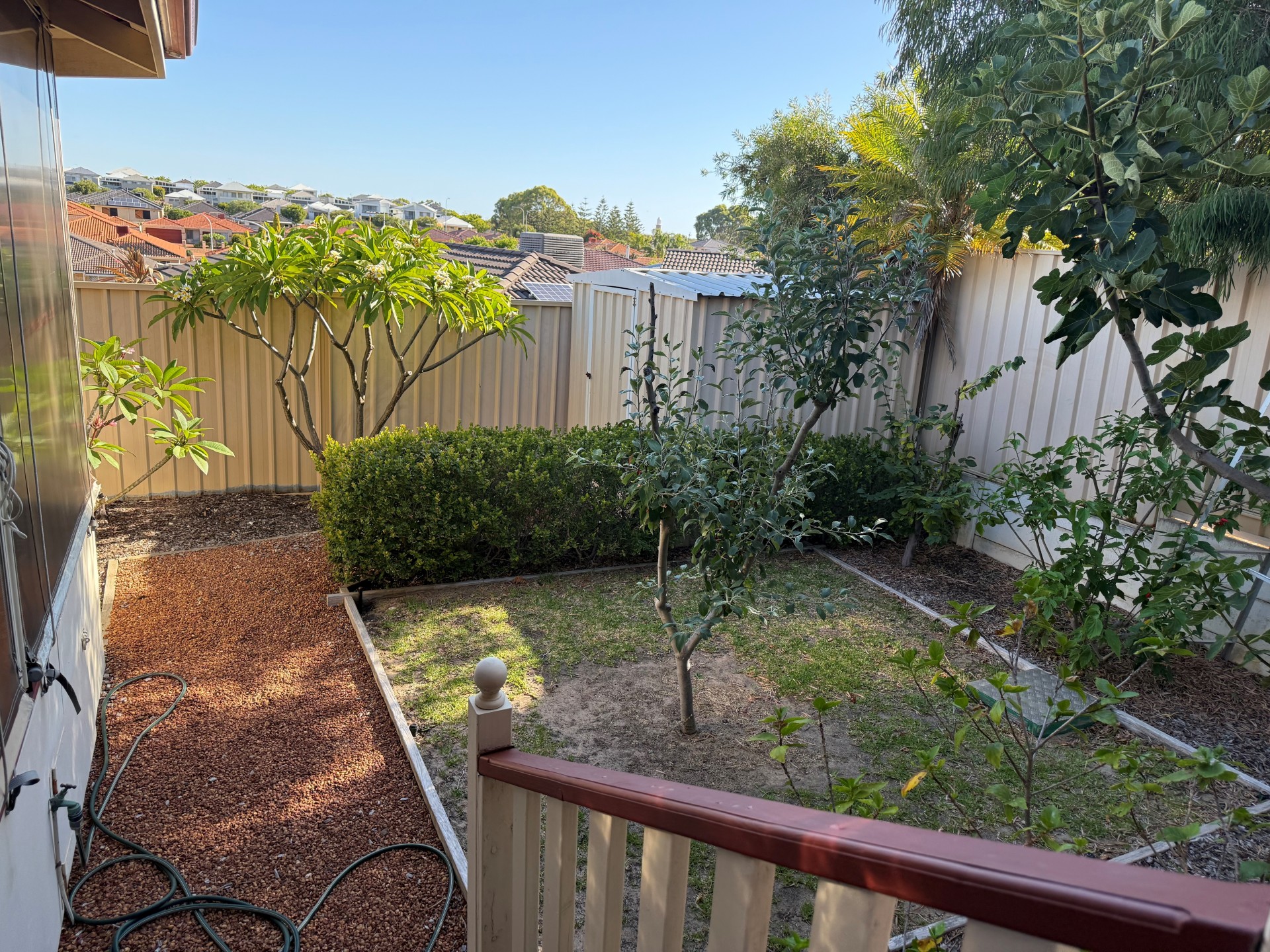 Real Estate in Coogee