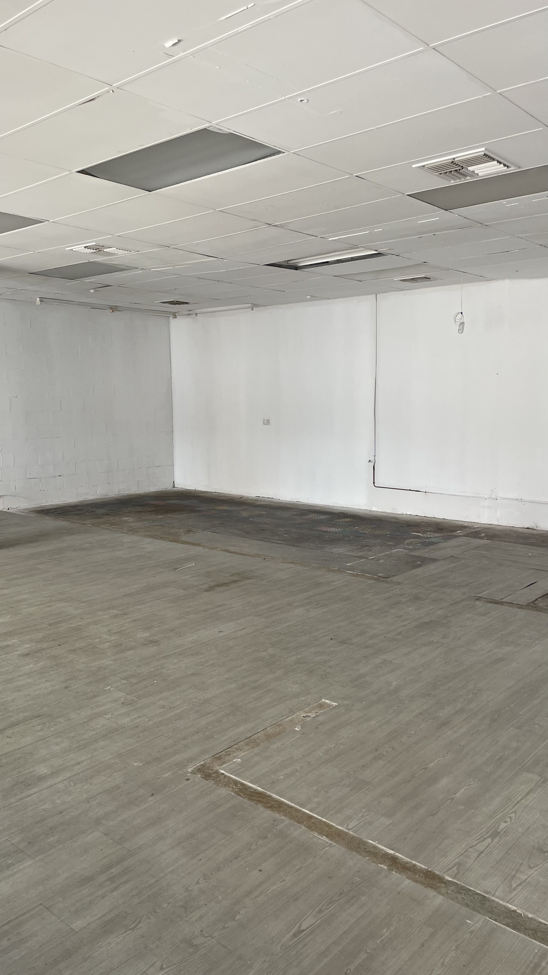 Real Estate in Fremantle