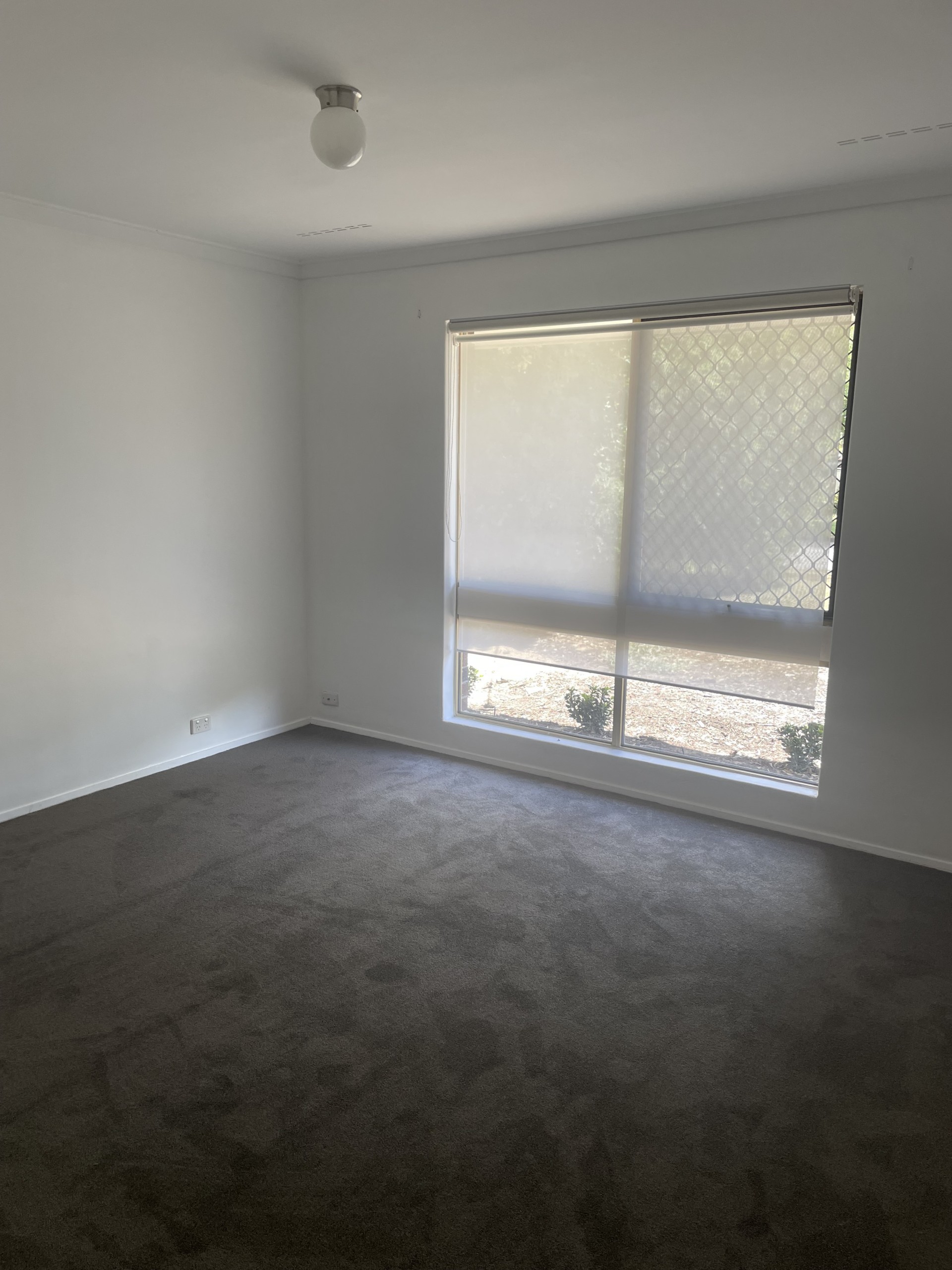 Real Estate in Bateman