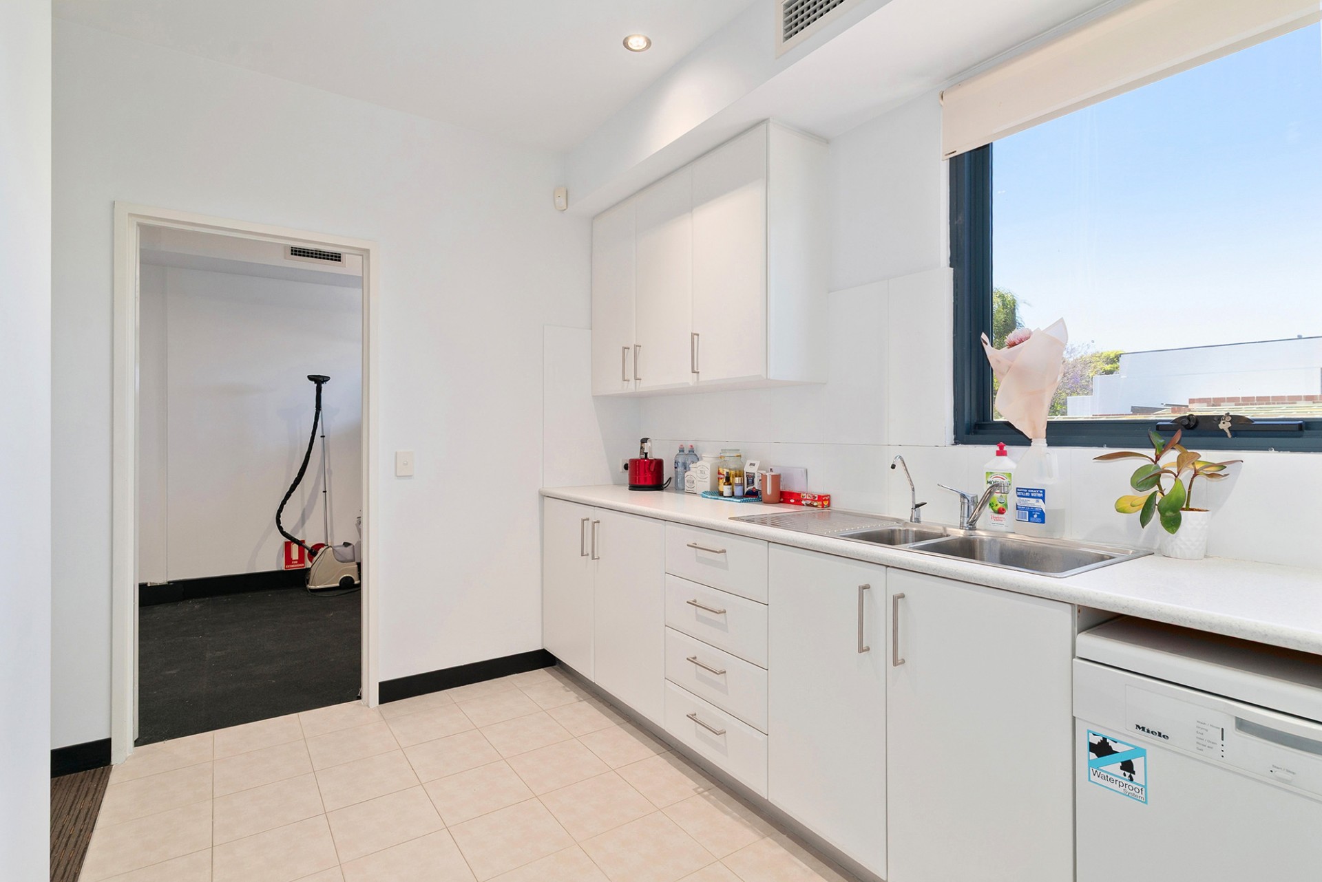 Real Estate in Mount Pleasant