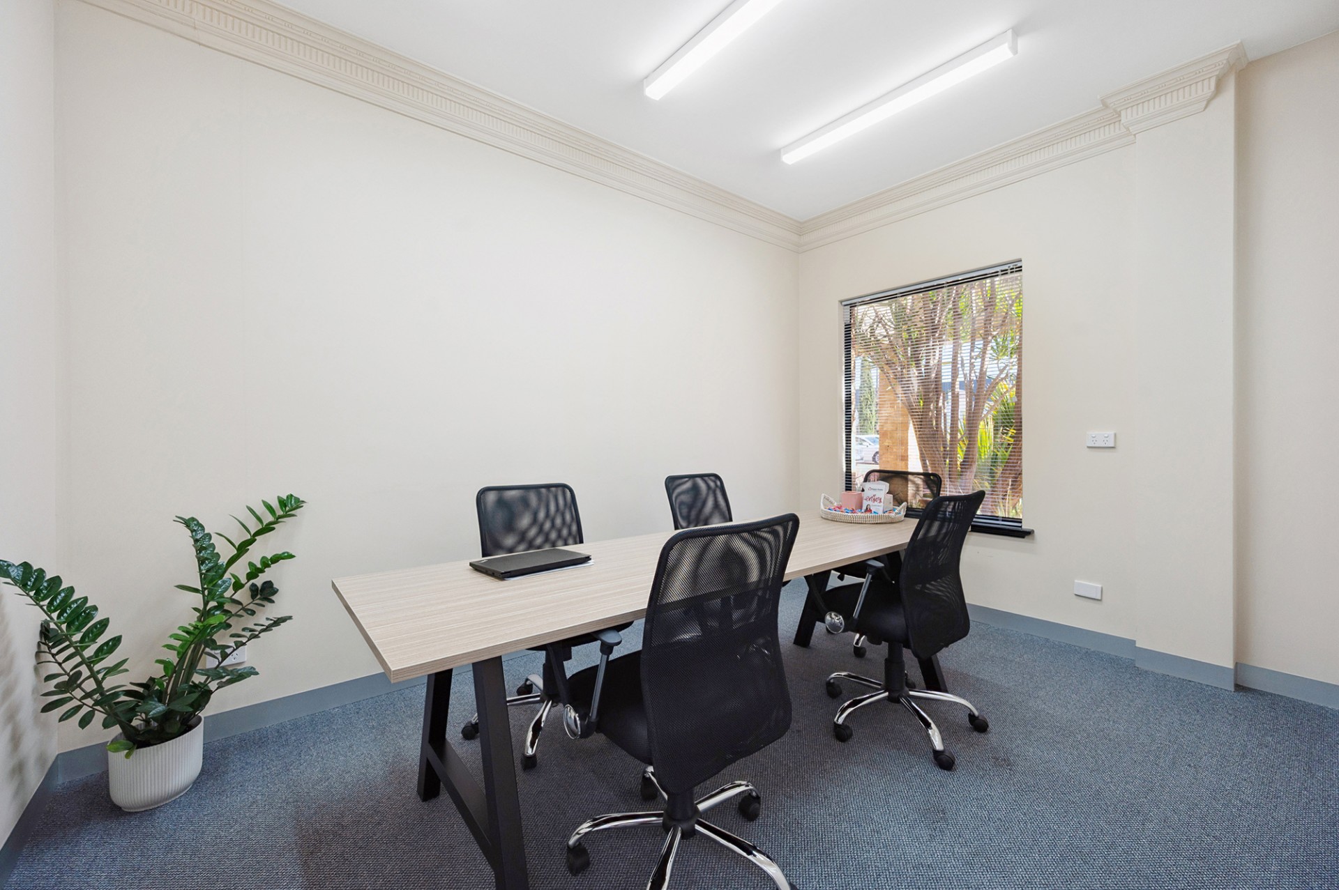 Real Estate in Canning Vale