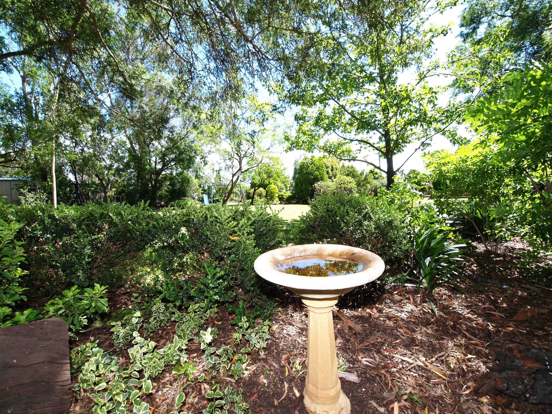 Image 15