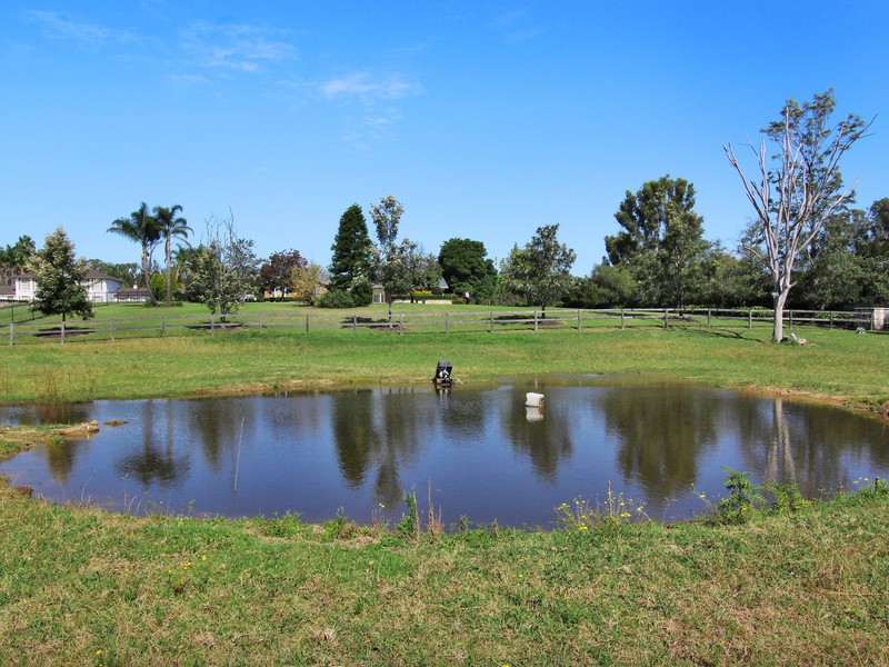 Image 11