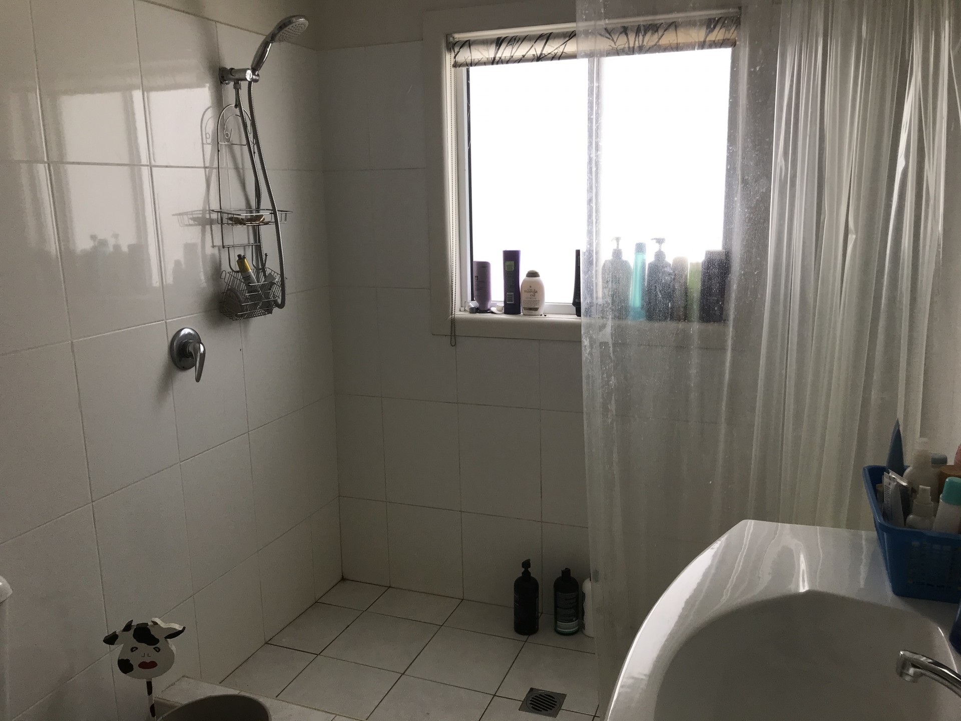 68 Carmichael lane, Coonabarabran - Thumbnail 6