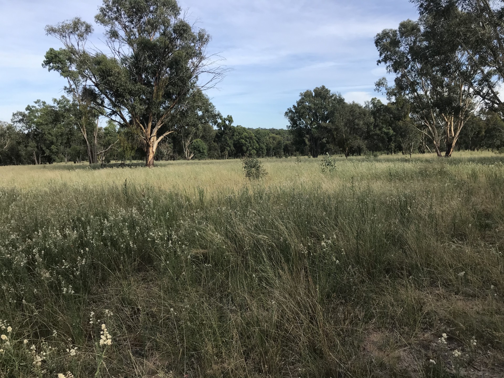 16809 Oxley Highway, Coonabarabran - Thumbnail 2