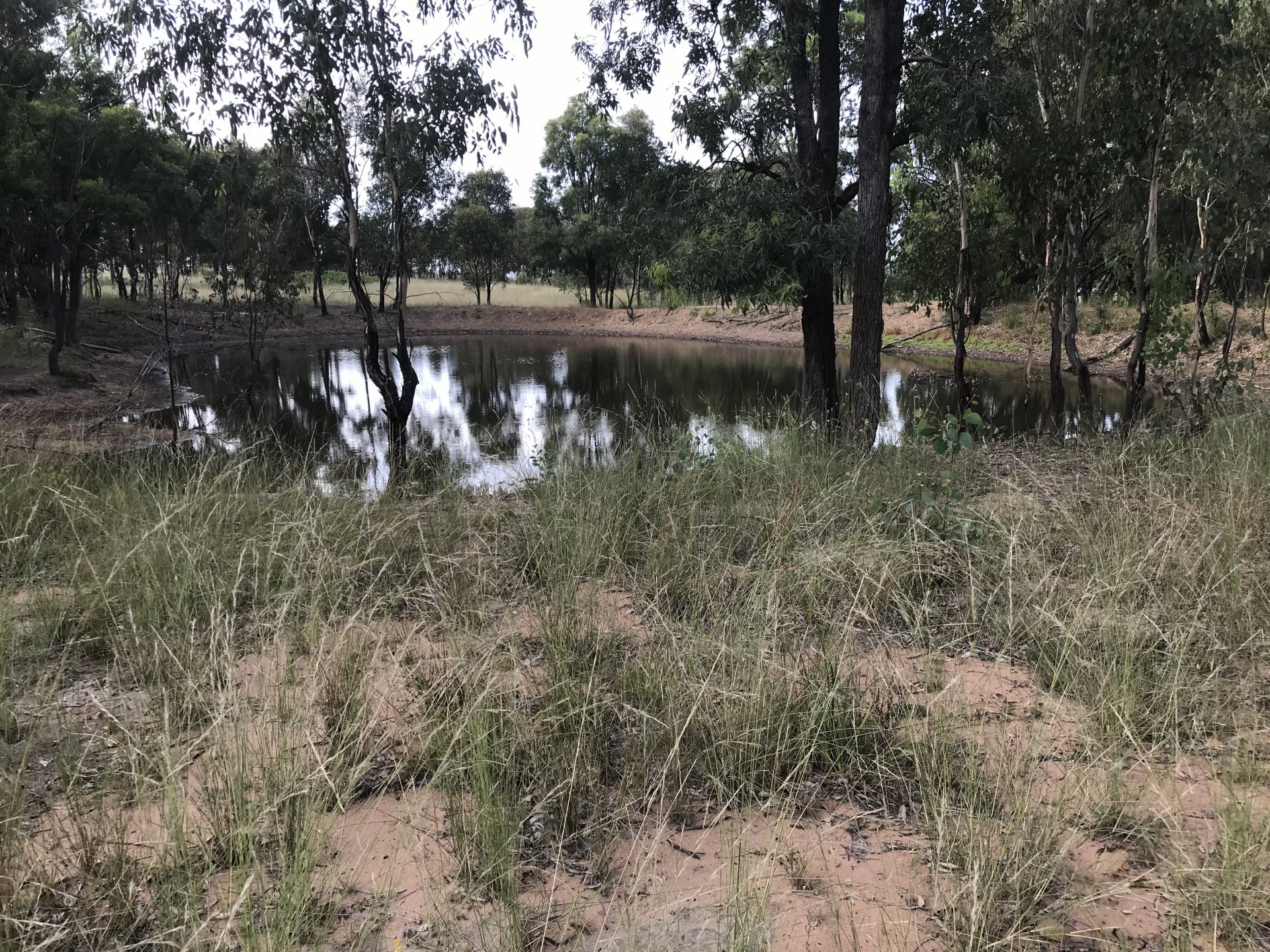 16809 Oxley Highway, Coonabarabran - Thumbnail 3