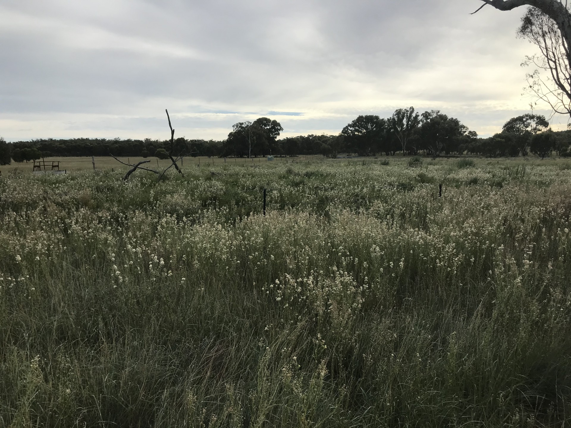 16809 Oxley Highway, Coonabarabran - Thumbnail 5