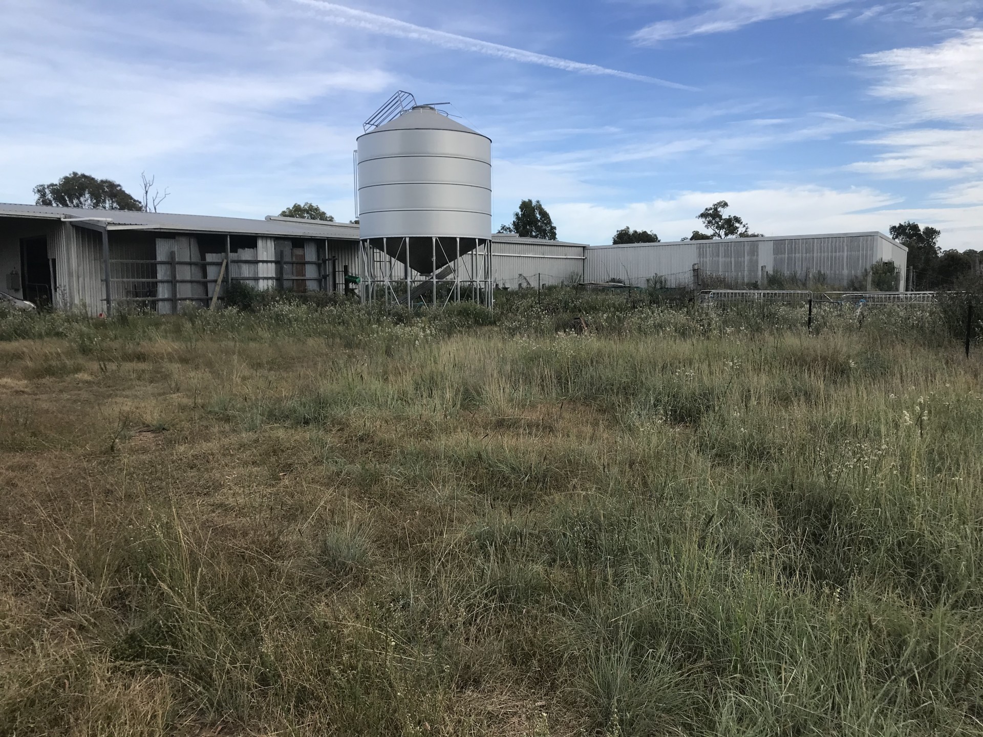 16809 Oxley Highway, Coonabarabran - Thumbnail 7