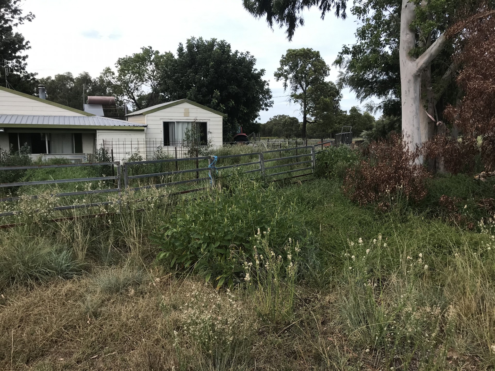 16809 Oxley Highway, Coonabarabran - Thumbnail 8