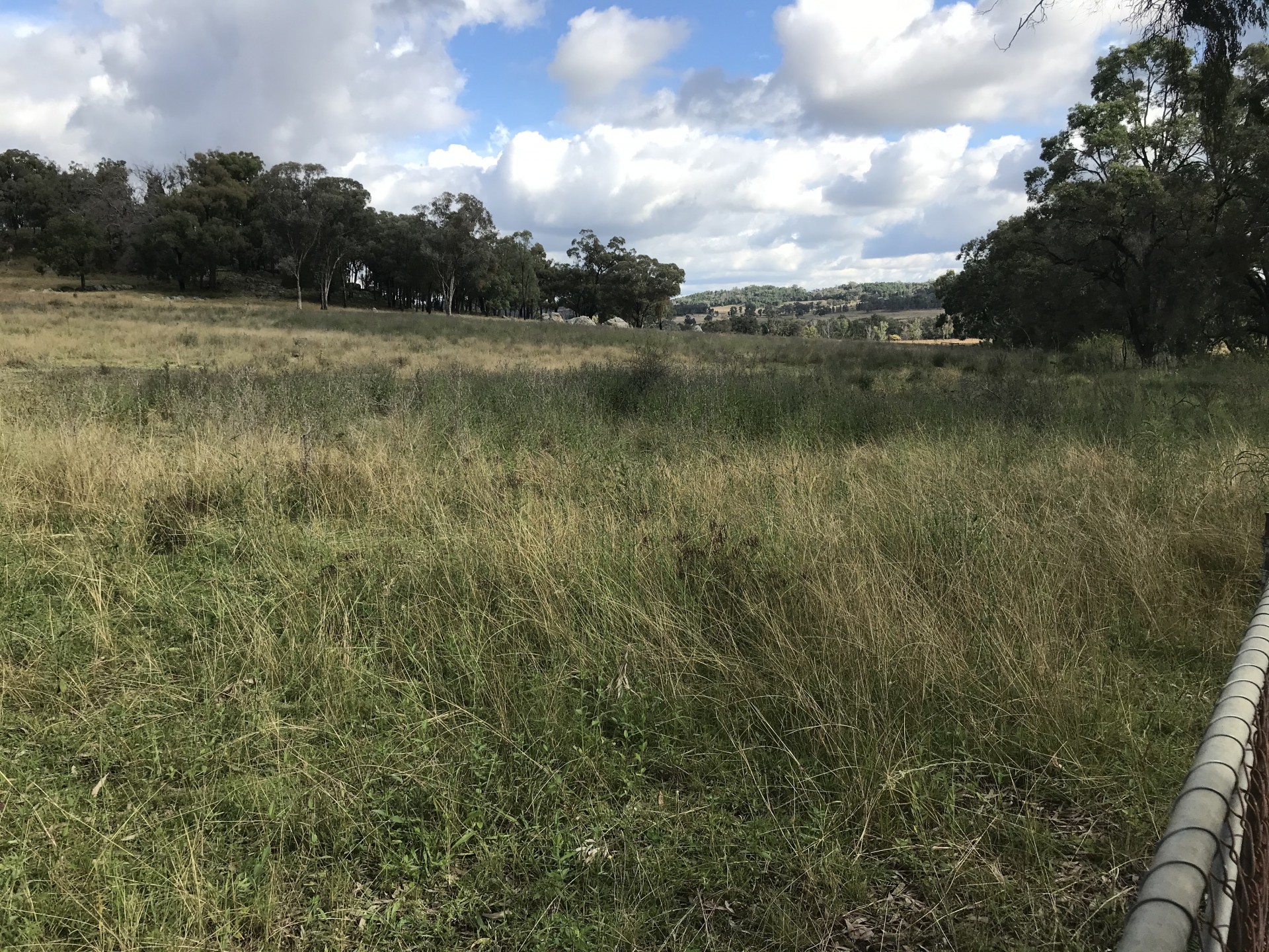 8263 Newell highway Coonabarabran, Coonabarabran > David Grant