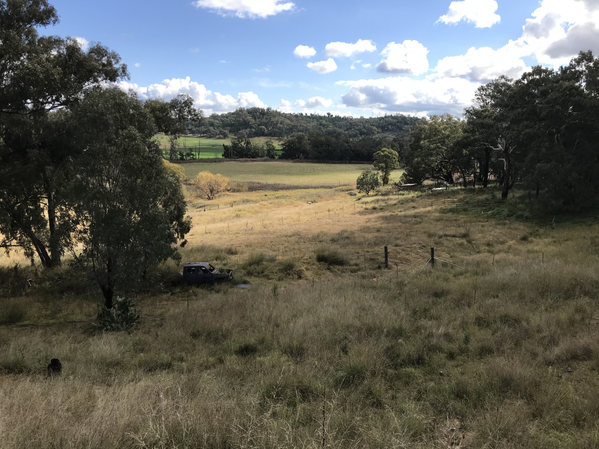 8263 Newell highway Coonabarabran, Coonabarabran > David Grant