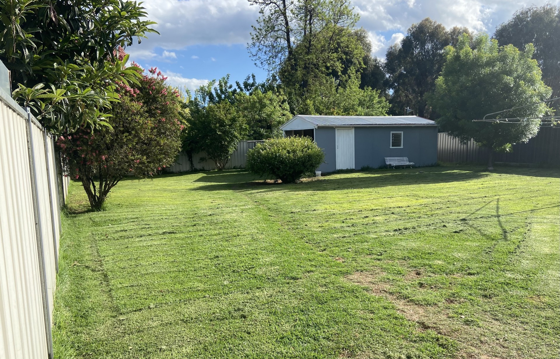 8 Edwards street, Coonabarabran - Thumbnail 3