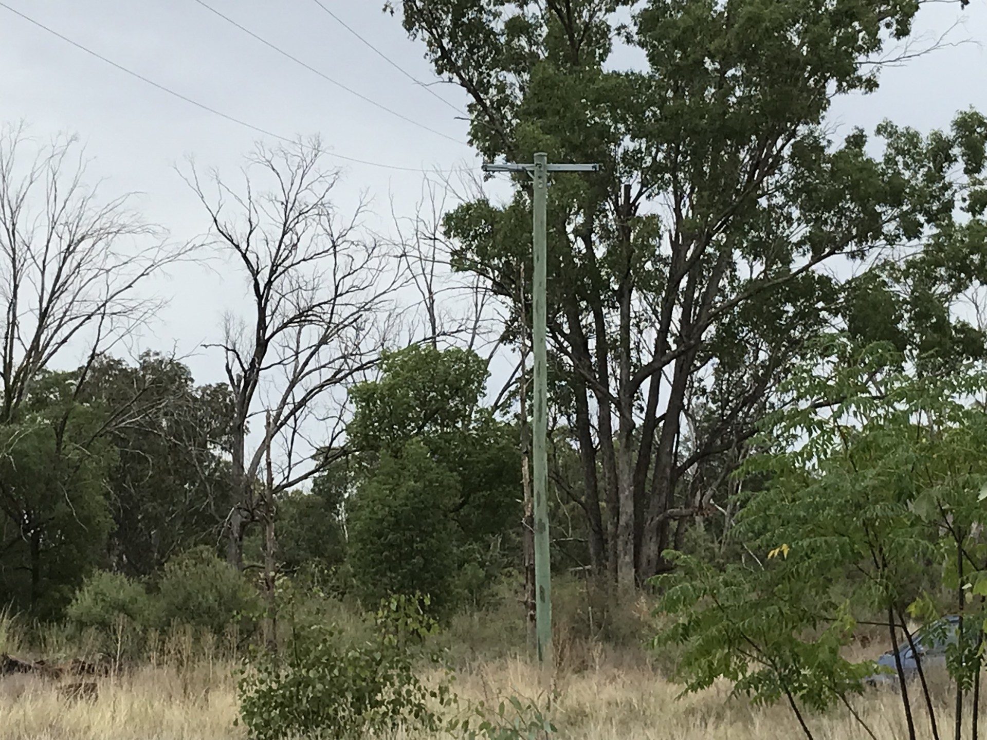 55 Wangmans road, Kenebri - Thumbnail 6