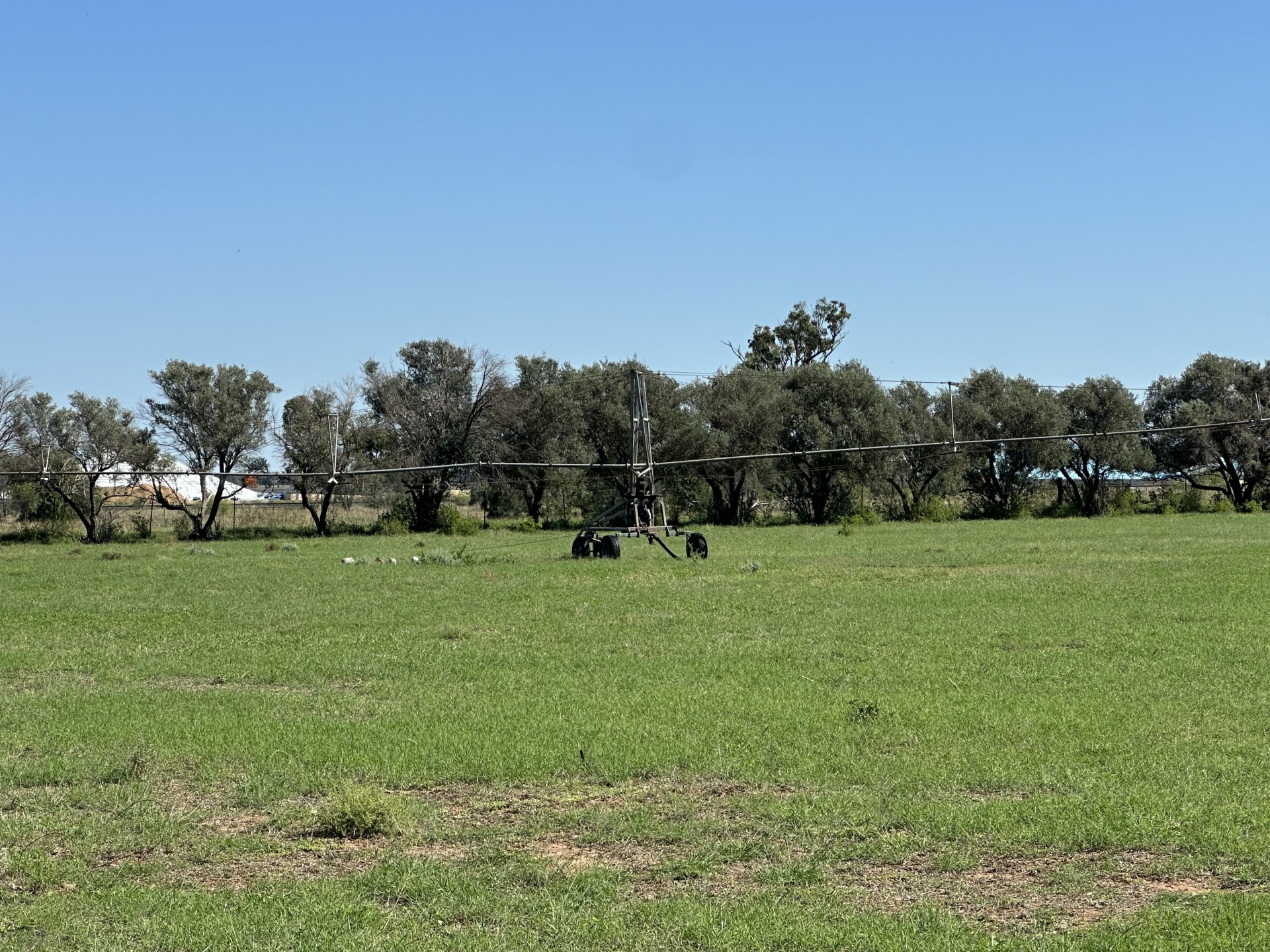 Real Estate in Coonamble