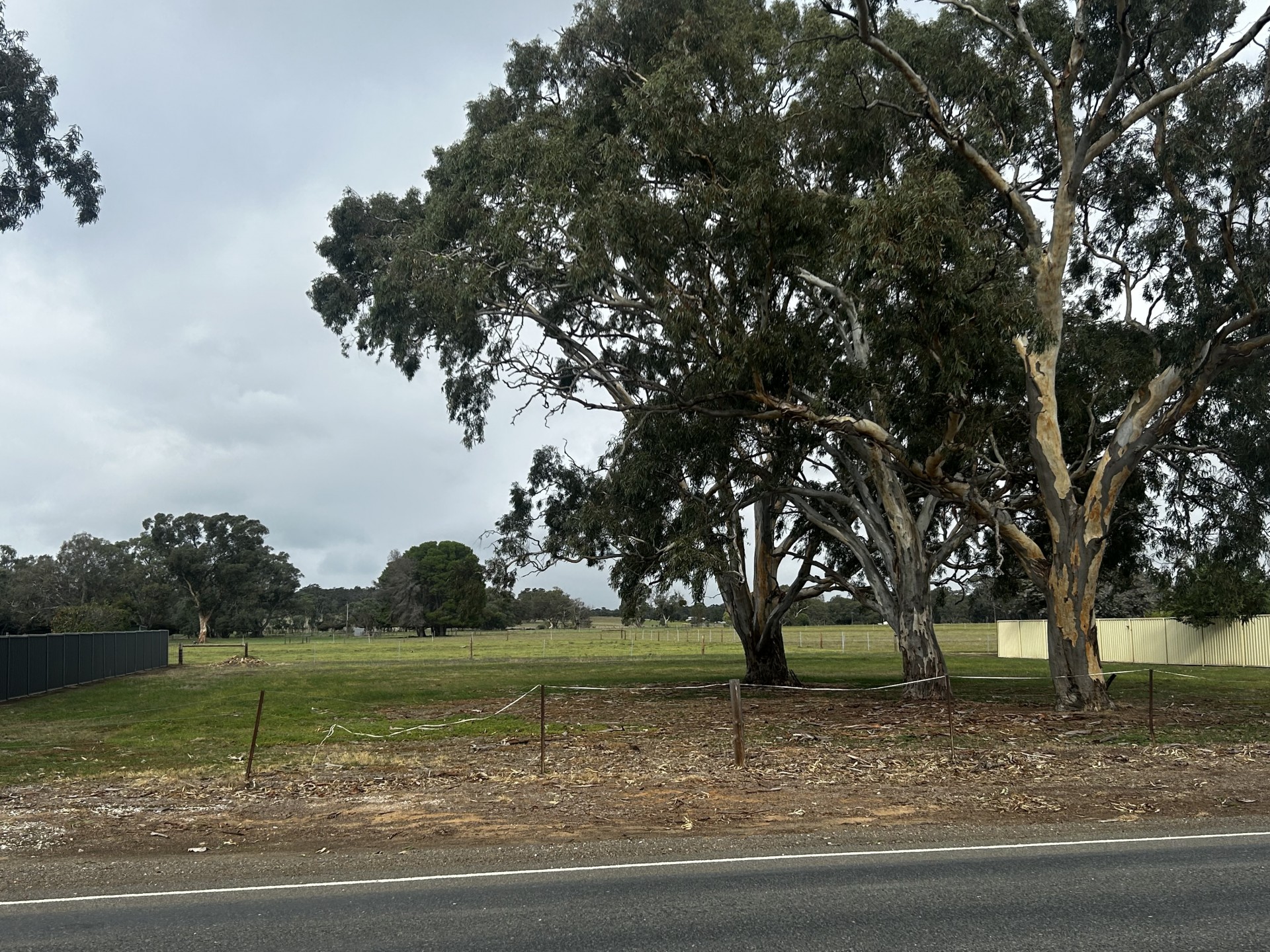 25 Angaston-Swan Reach Road, Keyneton - Image 1