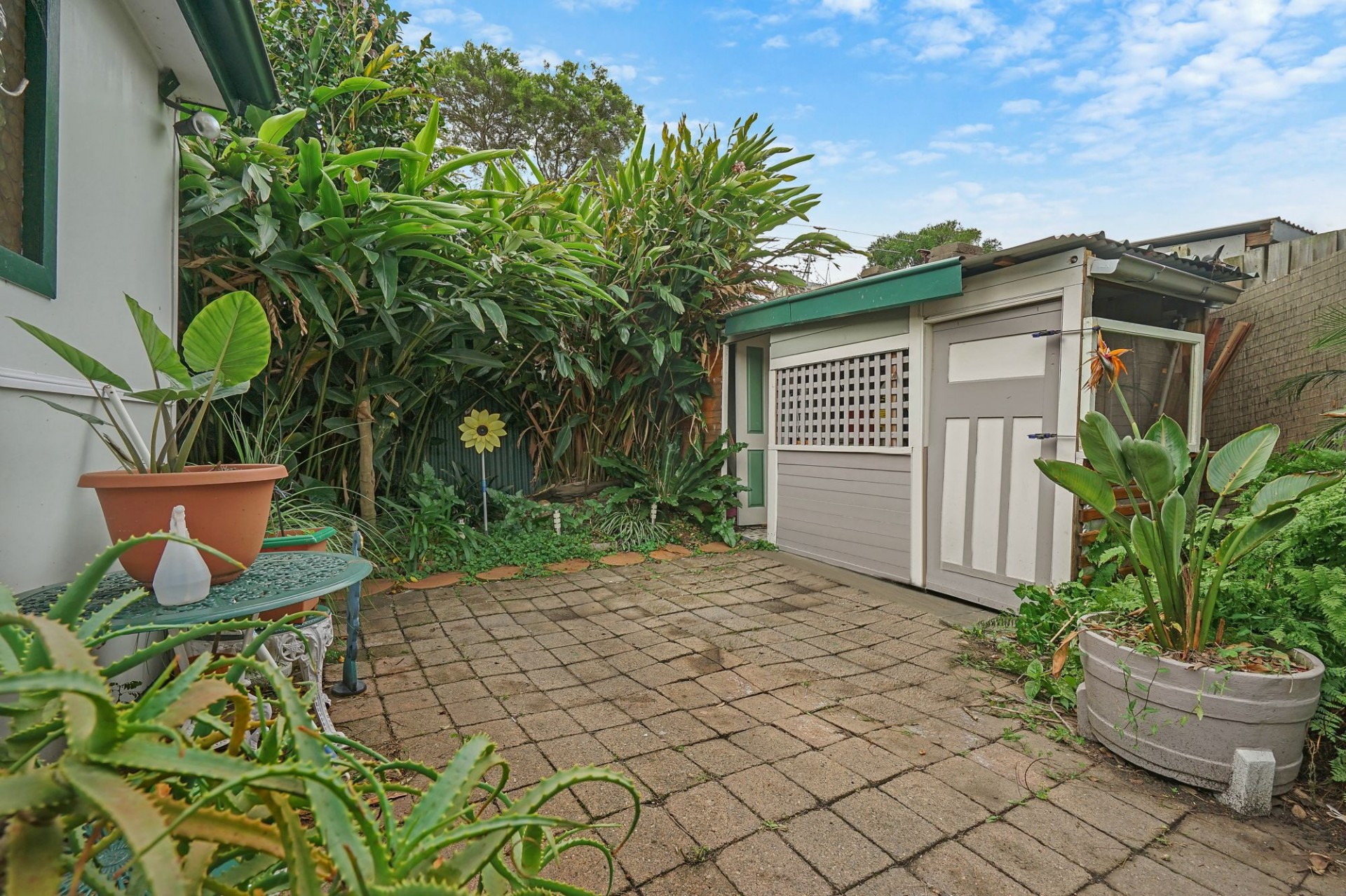 14 Helena Street, Lilyfield - Thumbnail 7