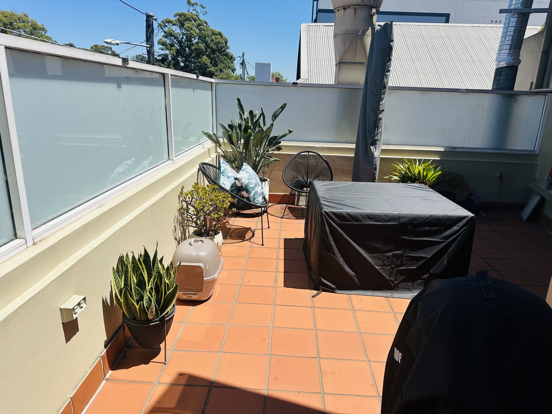 Real Estate in Petersham