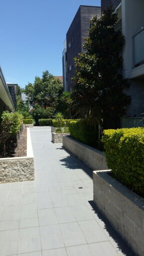 Real Estate in Dulwich Hill
