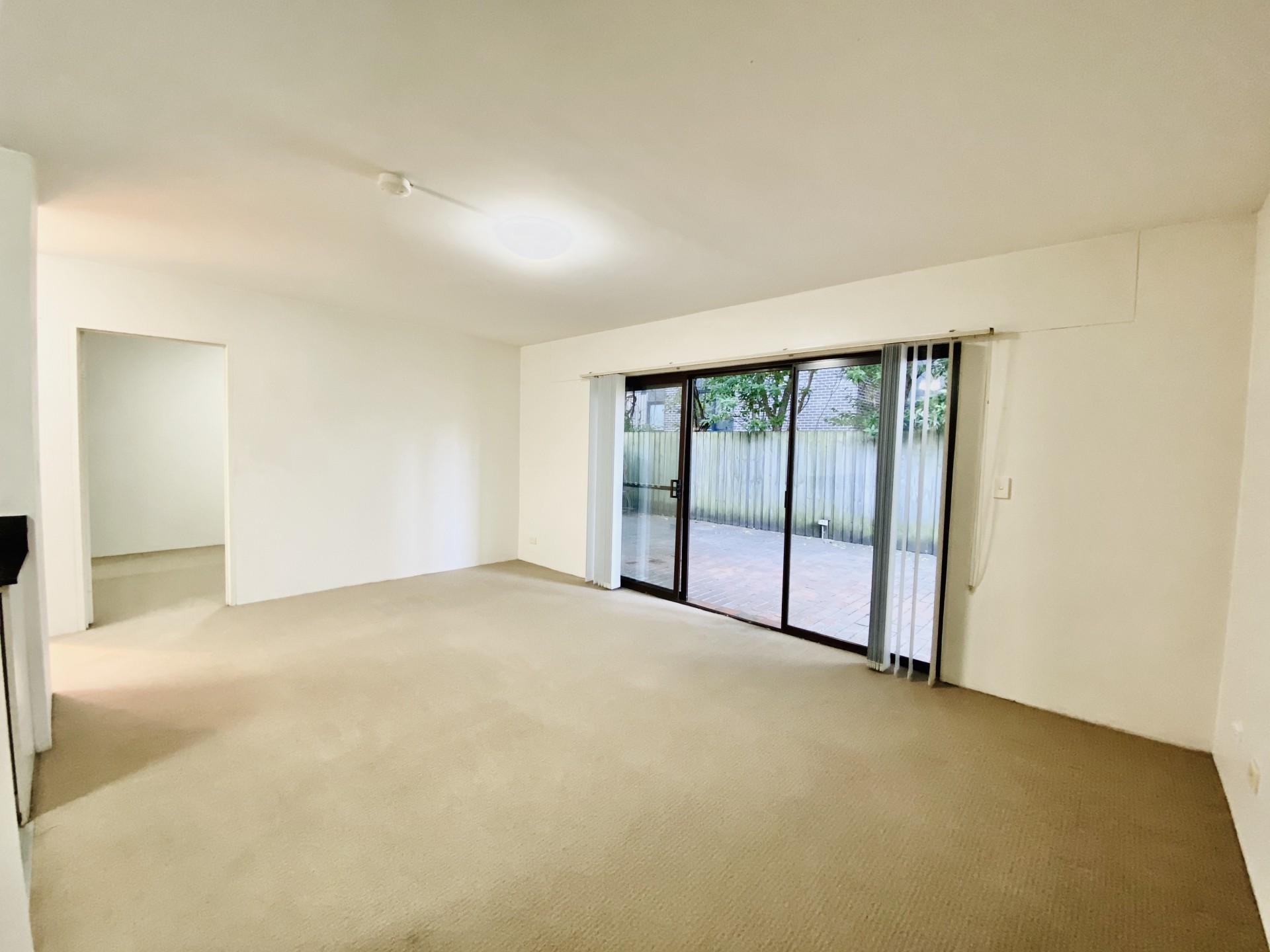 Real Estate in Glebe