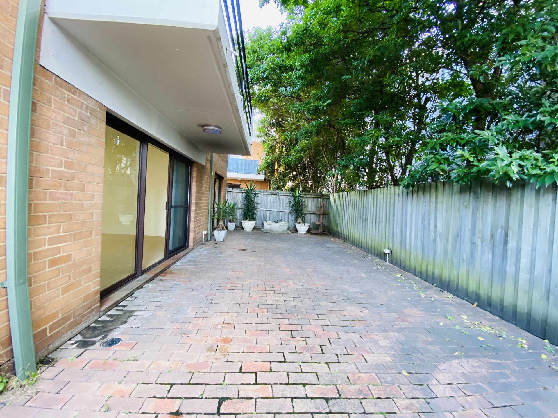 Real Estate in Glebe